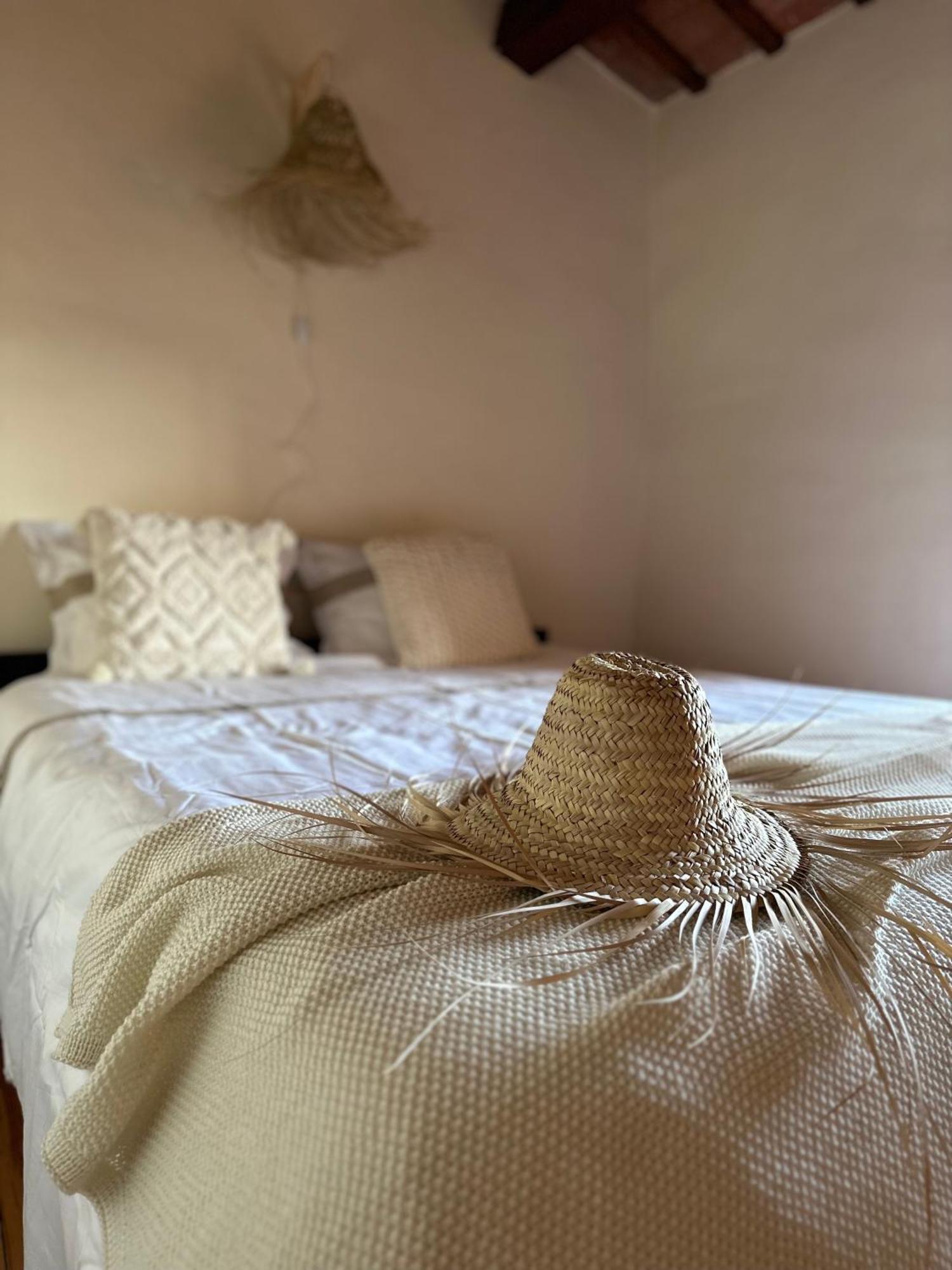 B&B La Vista Brava Platja d'Aro Ngoại thất bức ảnh
